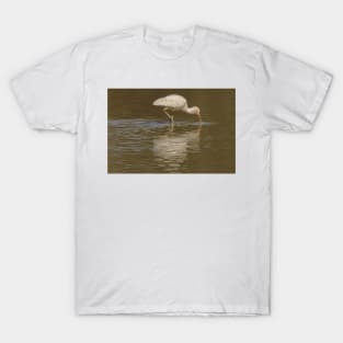 Spoonbill 02 T-Shirt